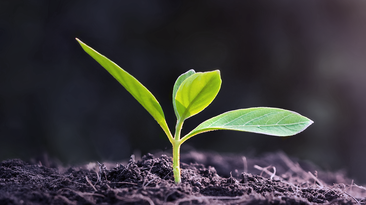 Le développement durable chez KESSEL Le développement durable chez KESSEL