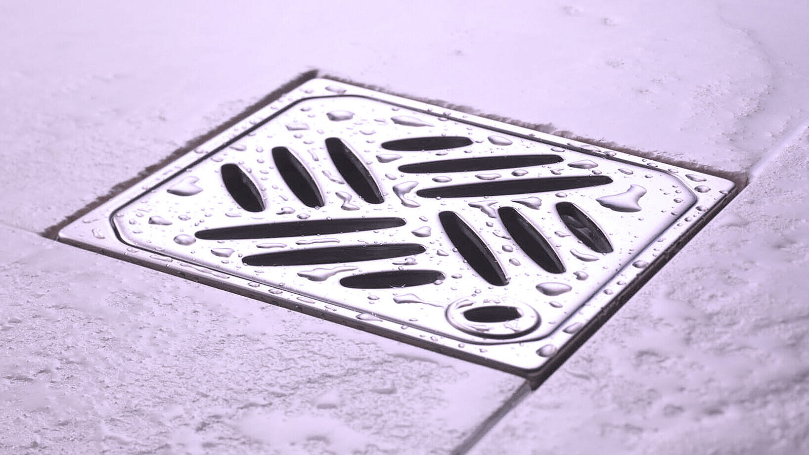 Siphon de douche Siphon de douche